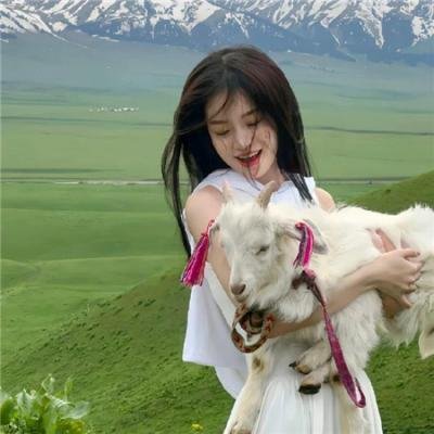 荃加福禄寿探案粤语